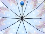 Зонт женский Zicco, арт.2022-3_product